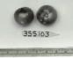 Click for 1 image(s) for this accession. FRUIT